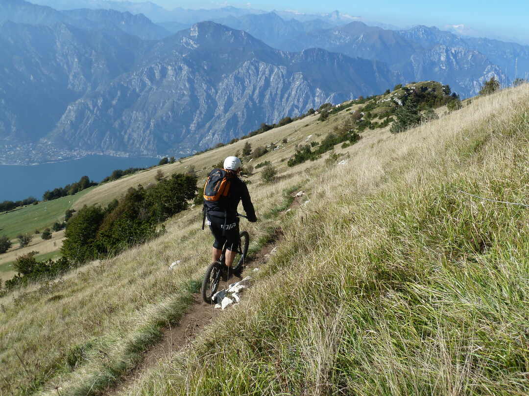 mtb.jpg