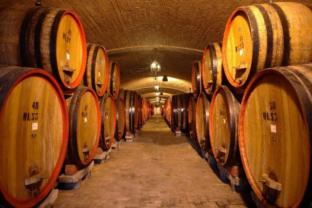 Invecchiamento_in_botte_Amarone.jpg Invecchiamento_in_botte_Amarone.jpg