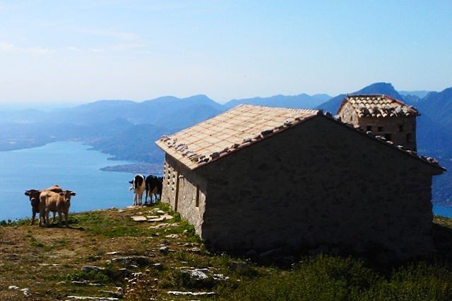 Malga_di_San_Zeno.jpg