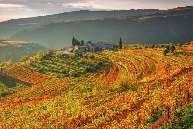 Valli_Valpolicella.jpg Valli_Valpolicella.jpg
