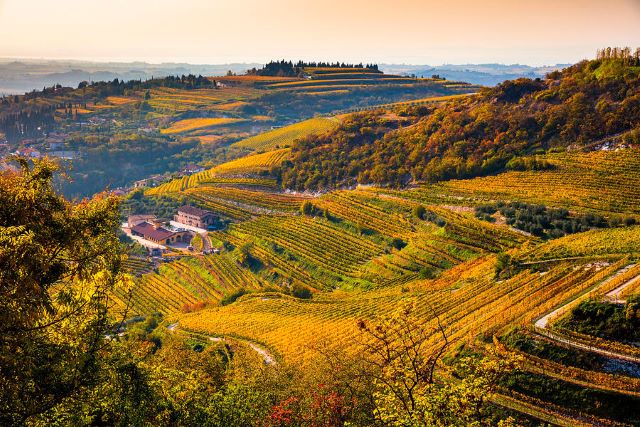 valpolicella.jpg valpolicella.jpg