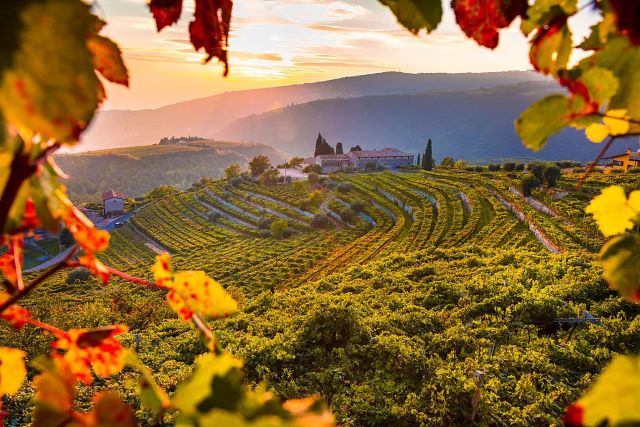 valpolicella.jpg valpolicella.jpg